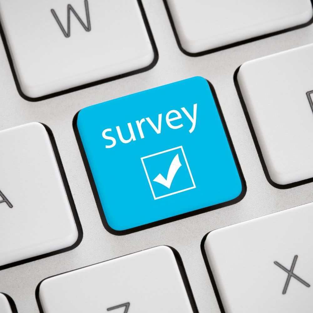 SME Survey