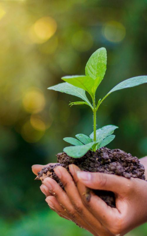 Environmental Taxes
