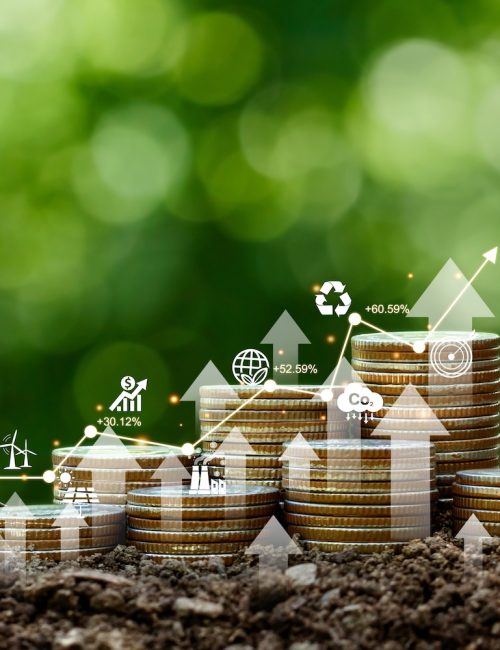 Environmental Taxes