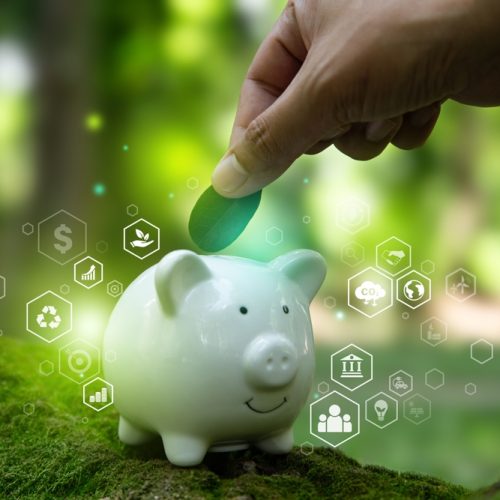 Environmental Taxes